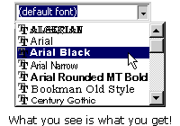 Select a style from the WYSIWYG font list.